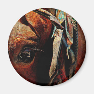 Aimant Oeil de Cheval Amish