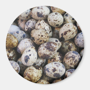 Aimant Oeufs de caille