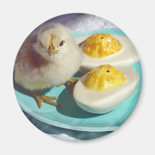 Aimant OEufs décapités et poussins