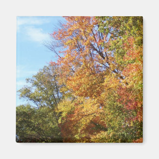 Aimant Ohio, automne n°3