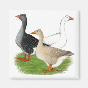 Aimant Oies : Trio Tufted