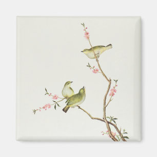 Aimant Oiseau de Blanc-Oeil, période de Ch'ien-poumon
