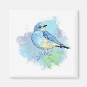 Aimant Oiseau de jardin bleu joli bleu art oiseau aquarel