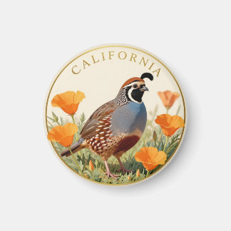 Aimant Oiseau de l'État de Californie Colin de Californie
