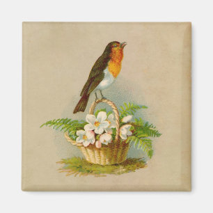 Aimant Oiseau de printemps sur le panier