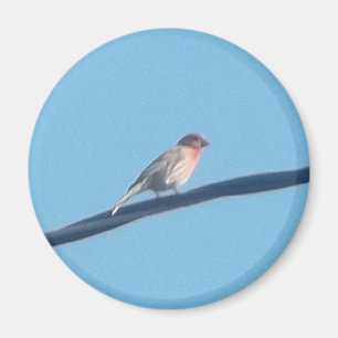 Aimant Oiseau sur un fil