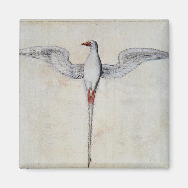 Aimant Oiseau tropique (Devant)