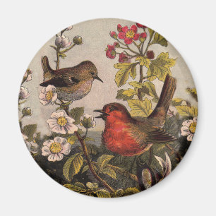 Aimant Oiseaux de printemps Robin Oiseaux rouges