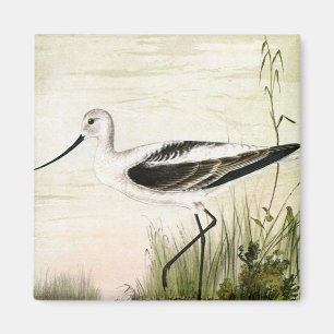 Aimant Oiseaux de rivage de la vie marine vintage, oiseau