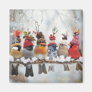 Aimant Oiseaux d'hiver, amoureux des oiseaux, oiseaux mig