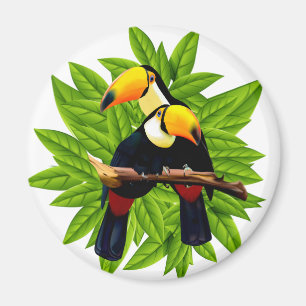 Aimant Oiseaux exotiques