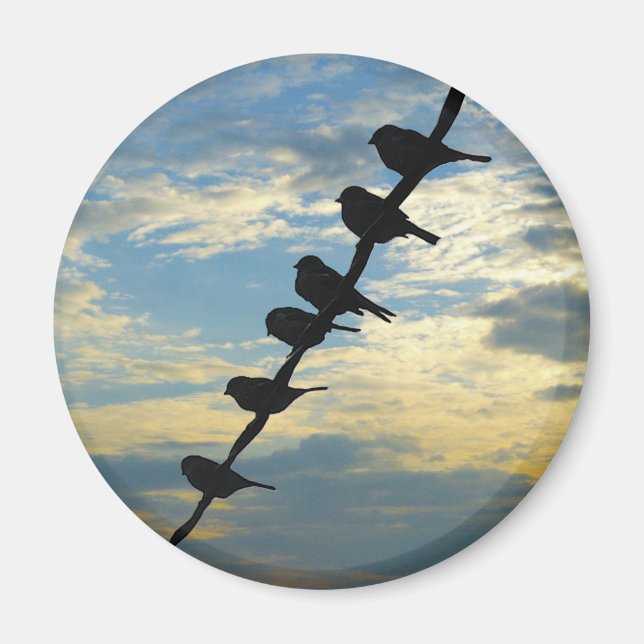 Aimant Oiseaux sur fil (Devant)