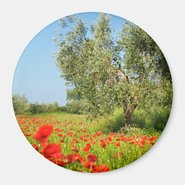 Aimant Olive tree in poppy champ magnétique rond (Devant)