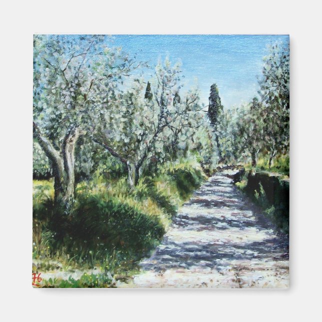AIMANT OLIVIERS DANS LE PAYSAGE TOSCANE (Devant)