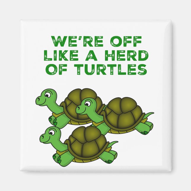 Aimant On est comme un troupeau de tortues Drôle design (Devant)