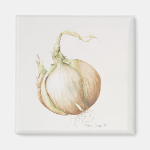 Aimant Onion Study 1993