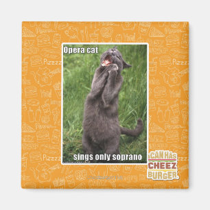 Aimant Opera Cat