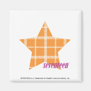 Aimant Orange 2 de plaid