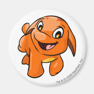 Aimant Orange de Poogle