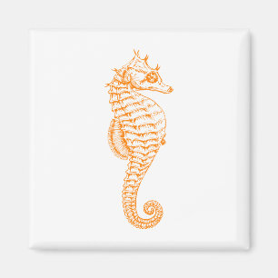 Aimant Orange Seahorse