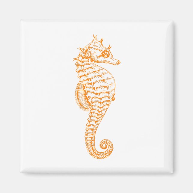 Aimant Orange Seahorse (Devant)