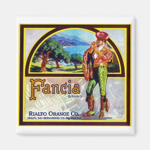 Aimant Oranges de Fancia