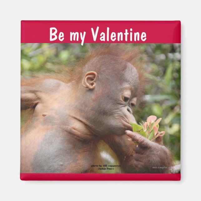 Aimant Orangutan Baby Valentine's Day (Devant)