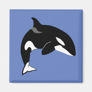 Aimant Orca Killer Whale
