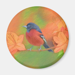 Aimant Orchard Oriole Songbird Peinture Oiseau original