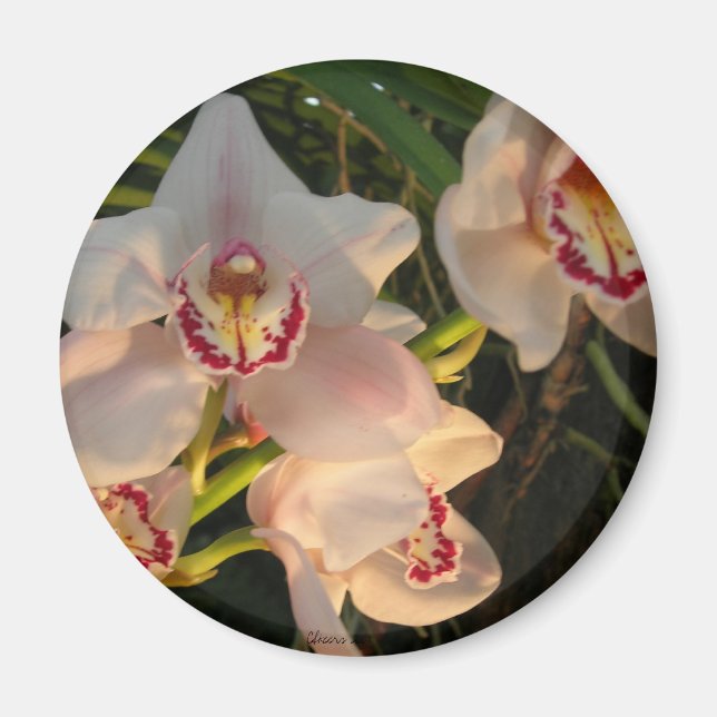 Aimant Orchidée (Devant)