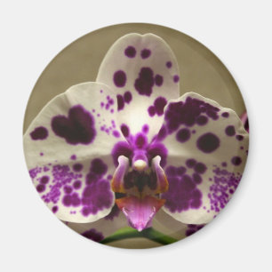 Aimant orchidée