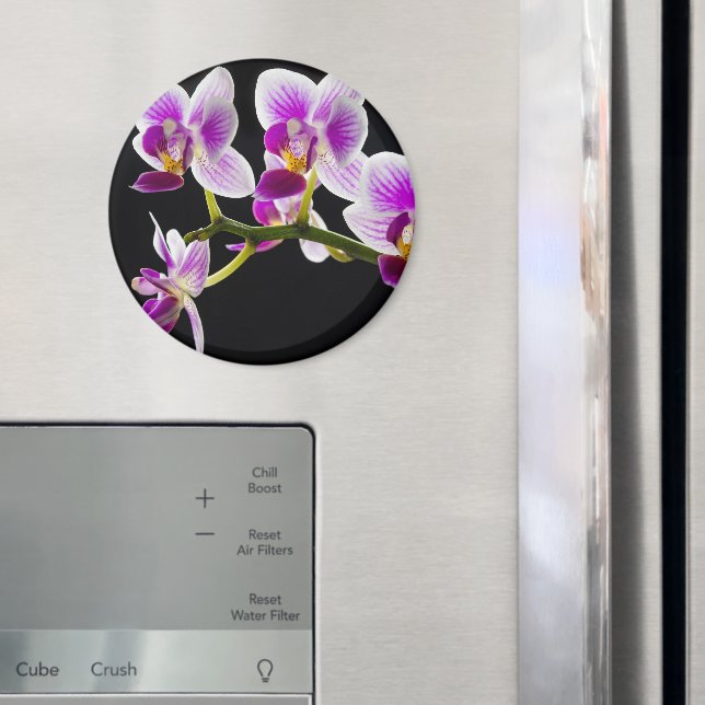 Aimant Orchidée blanche et violette (In situ (réfrigérateur))