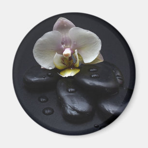 Aimant Orchidée Blanche Sur Pierres Noires