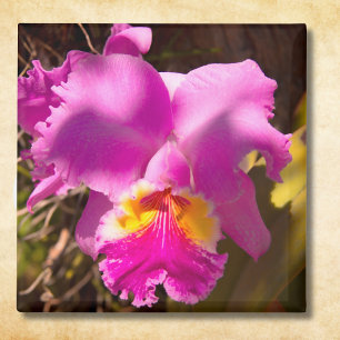 Aimant Orchidée Cattleya Rouge Rose