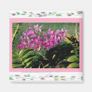 Aimant Orchidée d'Aimant-Hawaiiian