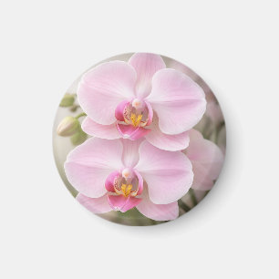 Aimant Orchidée Phalaenopsis Rose Tendre