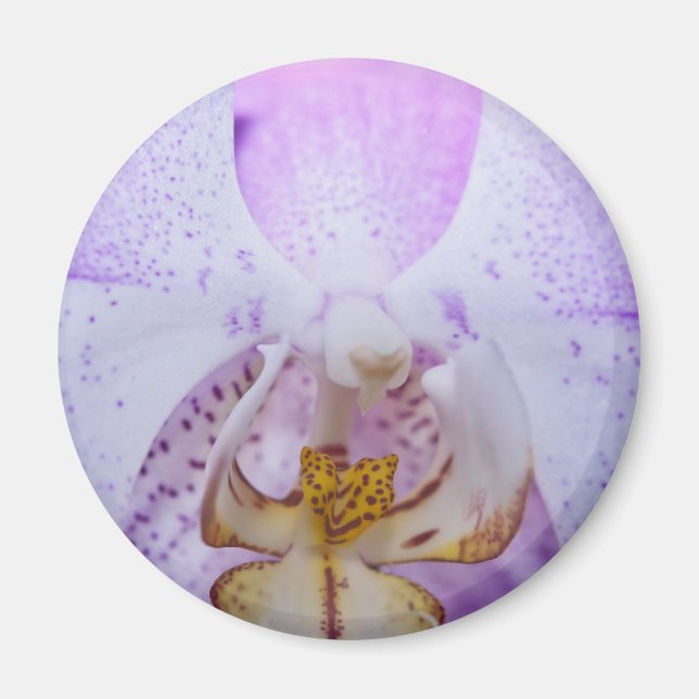 Aimant Orchidée rose (Devant)