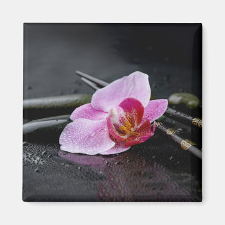 Aimant Orchidée zen noire