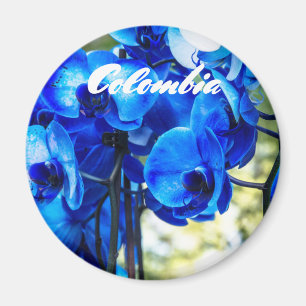 Aimant Orchidées bleues
