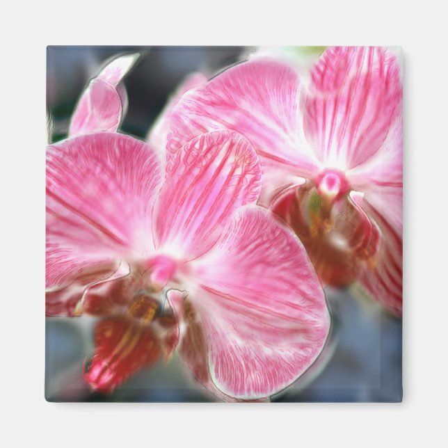 Aimant Orchidées Phalaenopsis Pink (Devant)