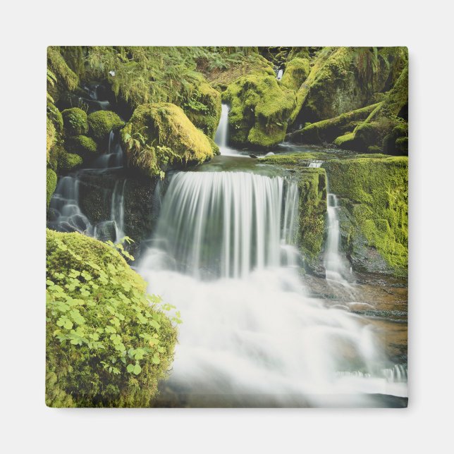 Aimant Oregon, Cascade dans le parc national Willamette (Devant)