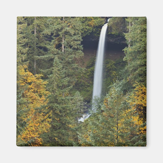 Aimant Oregon, parc d'État de Silver Falls, North Falls (Devant)