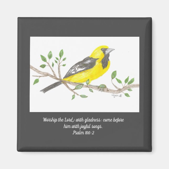 Aimant Oriole (Devant)