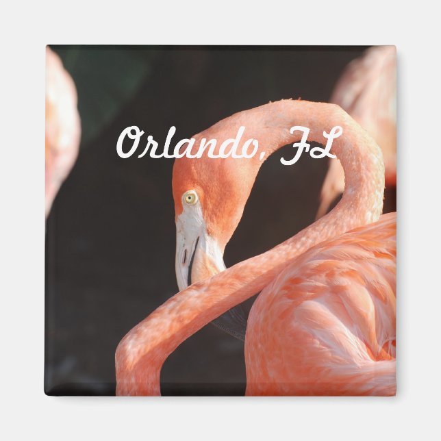 Aimant Orlando (Devant)