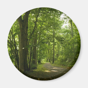 Aimant Osceloa Island Weir Dam Bristol Tennessee