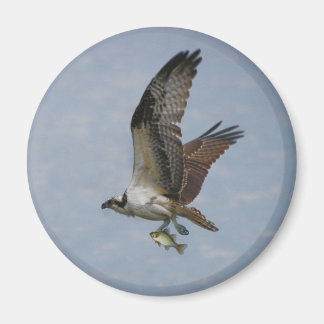 Aimant Osprey