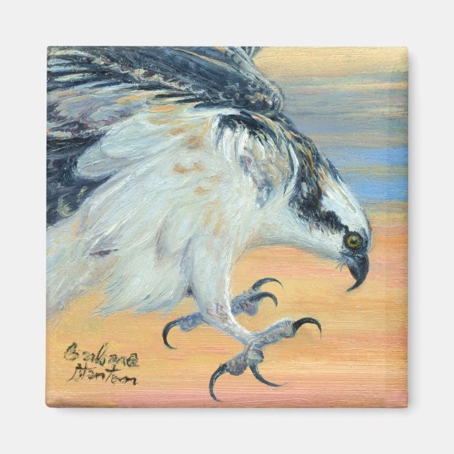 Aimant "Osprey Landing" (Devant)