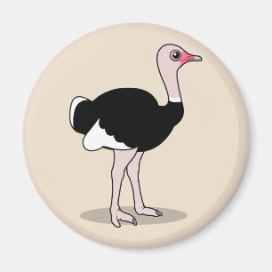 Aimant Ostrich