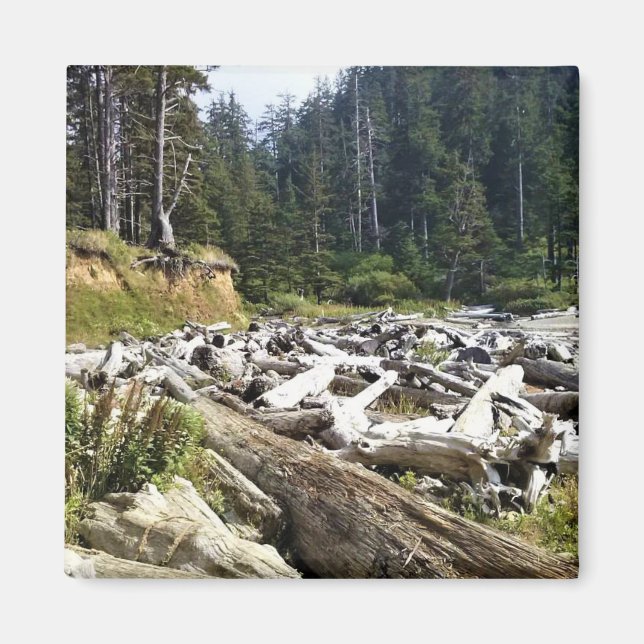 Aimant Oswald West State Park, Oregon Coast (Devant)