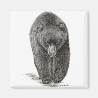 Aimant Ours
